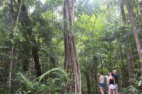Sightseeing Tour - Half Day - Accommodation NT 2