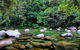Mossman (Silky Oaks) To/from Cairns - thumb 0