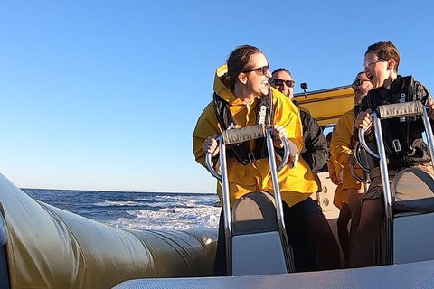 Noosa Oceanrider - Thrill Ride - Accommodation NT 5