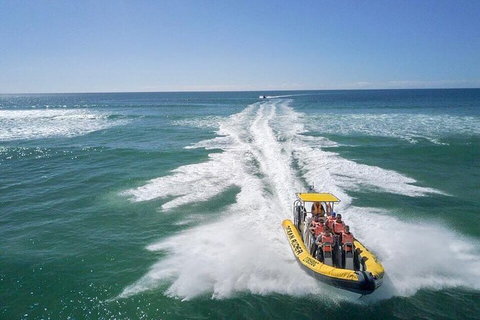 Noosa Oceanrider - Thrill Ride - Accommodation NT 2
