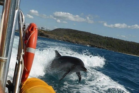 Noosa Oceanrider - Thrill Ride - Accommodation NT 4