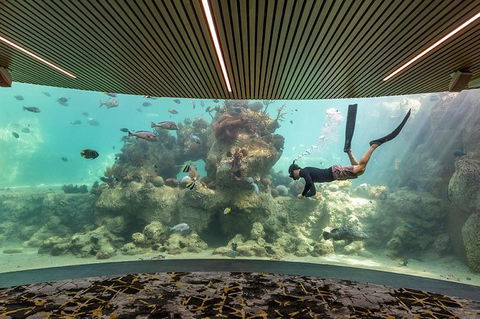 Whitehaven Beach And Daydream Island Cruise - Accommodation NT 6