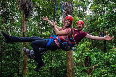 Daintree Atttractions Pass: The Best Of The Daintree In A Day - Accommodation NT 1