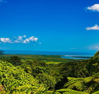 Cape Tribulation Day Tour - Accommodation NT
