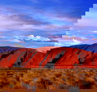 Uluru and Kata Tjuta Experience with BBQ Dinner - Accommodation NT