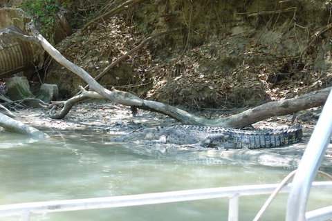 Kakadu Full-Day Tour From Darwin With Lunch - Accommodation NT 2