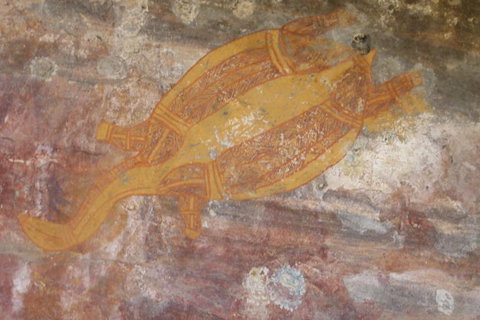 Kakadu Full-Day Tour From Darwin With Lunch - Accommodation NT 4