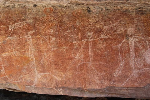 Kakadu Full-Day Tour From Darwin With Lunch - Accommodation NT 1