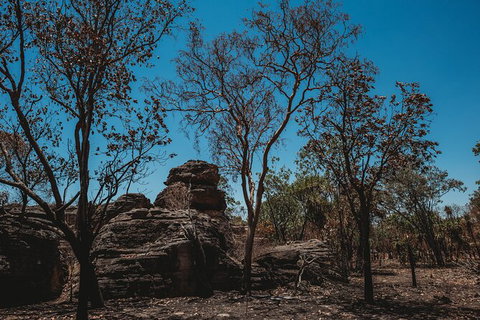 Kakadu Full-Day Tour From Darwin With Lunch - Accommodation NT 6