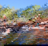 Litchfield and Jumping Crocodiles Full Day Trip from Darwin - Accommodation NT
