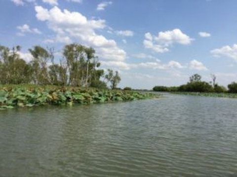 1 Day Corroboree Billabong Wetland Experience Including 2.5 Hour Cruise + Lunch - Accommodation NT 4