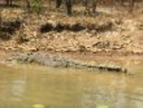 1 Day Corroboree Billabong Wetland Experience Including 2.5 Hour Cruise + Lunch - Accommodation NT 6