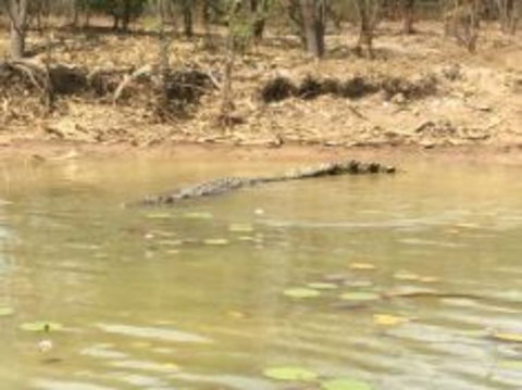 1 Day Corroboree Billabong Wetland Experience Including 2.5 Hour Cruise + Lunch - Accommodation NT 5