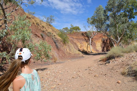 West MacDonnell Ranges Small-Group Full-Day Guided Tour - Accommodation NT 2