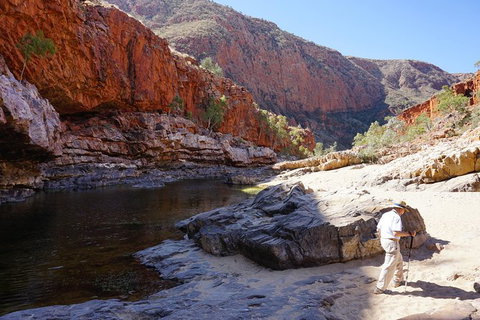 West MacDonnell Ranges Small-Group Full-Day Guided Tour - Accommodation NT 5