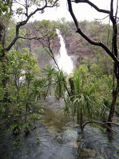 Small-Group Litchfield National Park Day Trip From Darwin - Accommodation NT 6