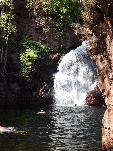Small-Group Litchfield National Park Day Trip From Darwin - Accommodation NT 13