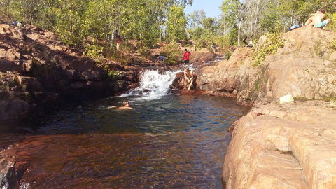 Small-Group Litchfield National Park Day Trip From Darwin - Accommodation NT 12