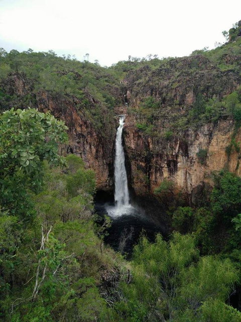 Small-Group Litchfield National Park Day Trip From Darwin - Accommodation NT 5