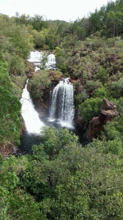Small-Group Litchfield National Park Day Trip From Darwin - Accommodation NT 7