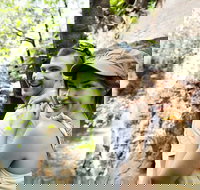 Small-Group Litchfield National Park Day Trip from Darwin - Accommodation NT