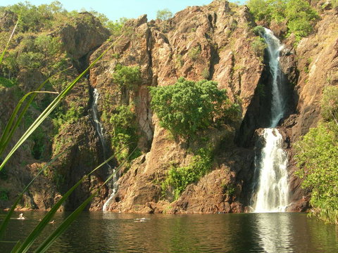 Small-Group Litchfield National Park Day Trip From Darwin - Accommodation NT 15
