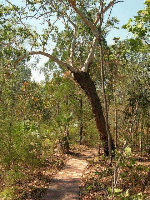Small-Group Litchfield National Park Day Trip From Darwin - Accommodation NT 14