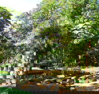 Darwin Afternoon Sightseeing Tour - Accommodation NT