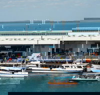 Darwin Harbour Bombing of Darwin Cruise - Accommodation NT