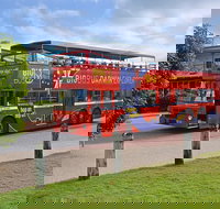 Darwin Shore Excursion Hop-on Hop-off Bus Tour - Accommodation NT