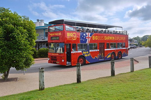 Darwin Shore Excursion: Hop-on Hop-off Bus Tour - Accommodation NT 4