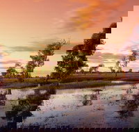 3-Day Kakadu National Park and Arnhem Land Explorer Tour from Darwin - Accommodation NT