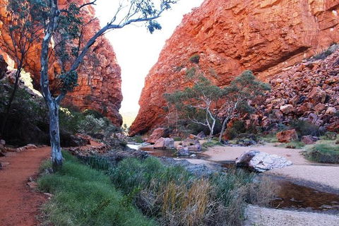 Half Day MacDonnell Ranges Small Group - Private Guided Tour - Accommodation NT 0