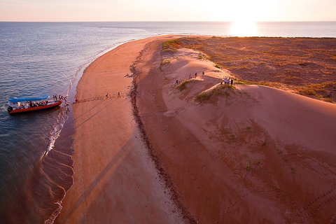 Turtle Tracks Tour To Bare Sand Island From Darwin - Accommodation NT 1