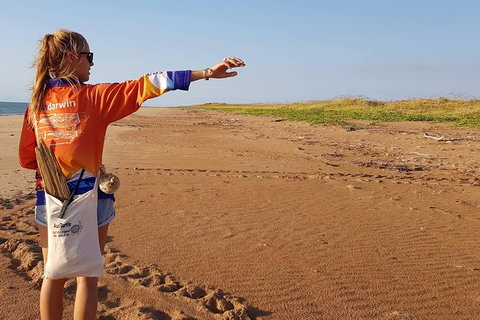 Turtle Tracks Tour To Bare Sand Island From Darwin - Accommodation NT 7