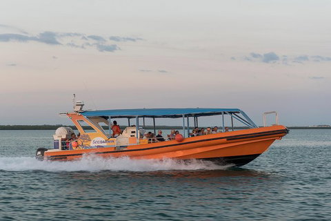 Turtle Tracks Tour To Bare Sand Island From Darwin - Accommodation NT 5