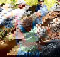 Tiwi Islands Cultural Experience from Darwin Including Ferry - Accommodation NT