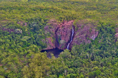 Litchfield Park Scenic Flight From Darwin - Accommodation NT 10