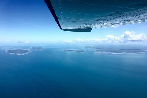 Litchfield Park Scenic Flight From Darwin - Accommodation NT 11