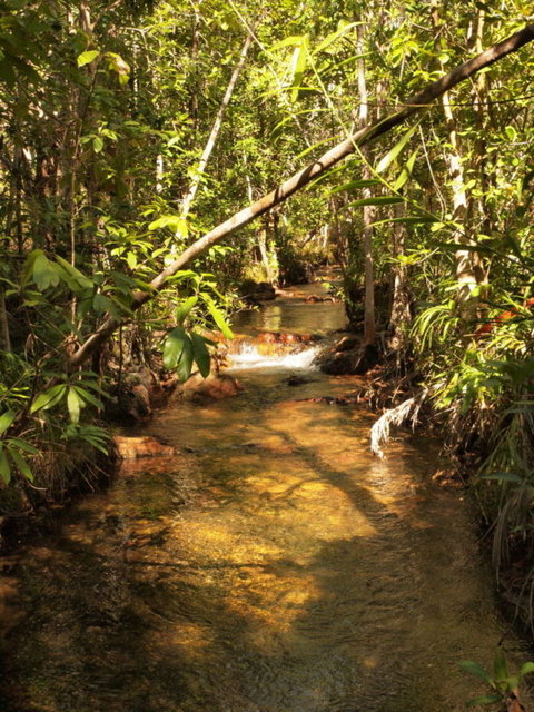 Katherine Day Tour From Darwin Including Katherine Gorge Cruise - Accommodation NT 10