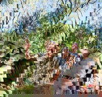 4-Day Kakadu National Park Katherine and Litchfield National Park Camping Tour from Darwin - Accommodation NT