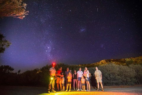 Alice Springs Desert Park Nocturnal Tour - Accommodation NT 1