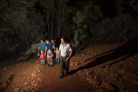 Alice Springs Desert Park Nocturnal Tour - Accommodation NT 6