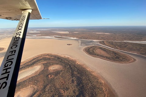 Scenic Flight: Lizard Safari - Accommodation NT 3