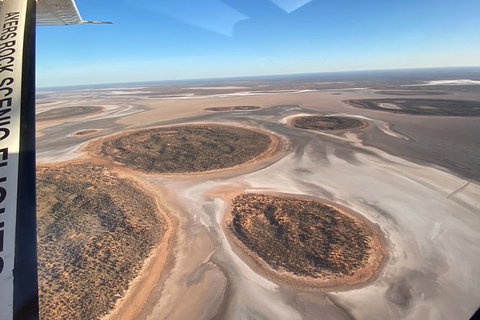 Scenic Flight: Lizard Safari - Accommodation NT 7