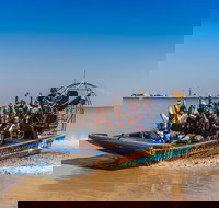 1 Hour Darwin Airboat Tours - Accommodation NT