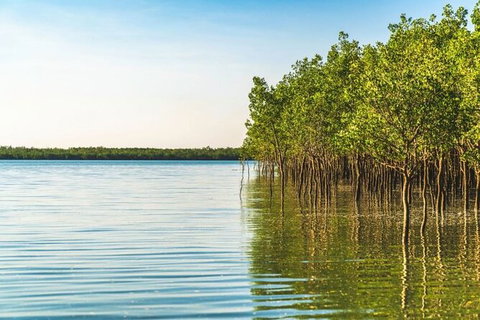 1 Hour Darwin Airboat Tours - Accommodation NT 7
