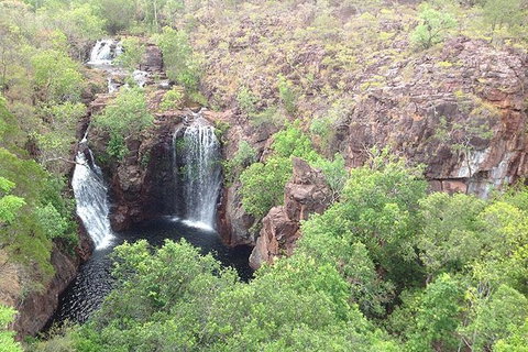 Litchfield National Park And Jumping Crocodile Cruise - Accommodation NT 1