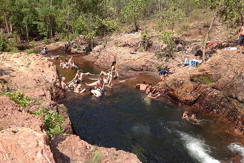 Litchfield National Park And Jumping Crocodile Cruise - Accommodation NT 3