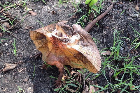 Litchfield National Park And Jumping Crocodile Cruise - Accommodation NT 8